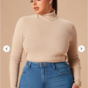 Fashion Nova Taupe/Beige Turtleneck Sweater (3X)